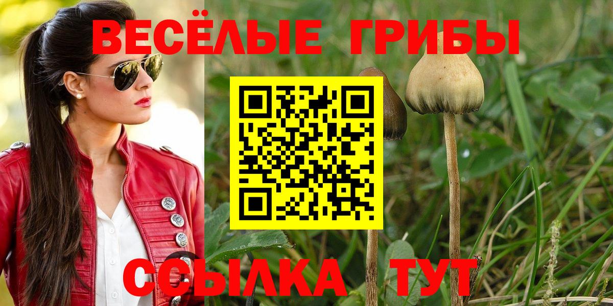 Псилоцибиновые грибы мицелий Норильск