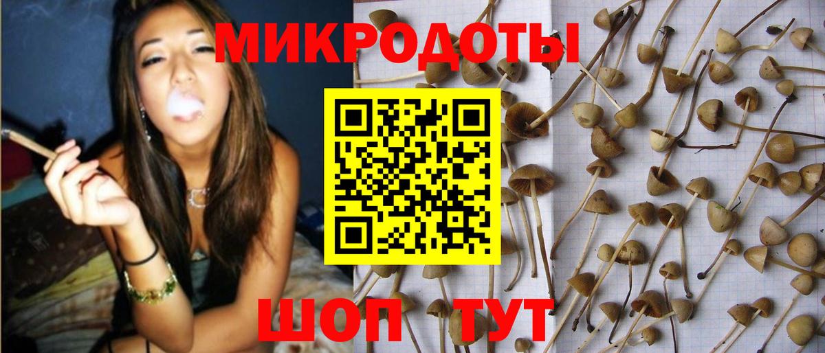 Галлюциногенные грибы Cubensis  Галлюциногенные грибы мухоморы  Вход с VPN  Норильск 